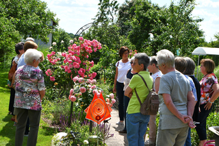 Garten Ulrike 06 2022 4